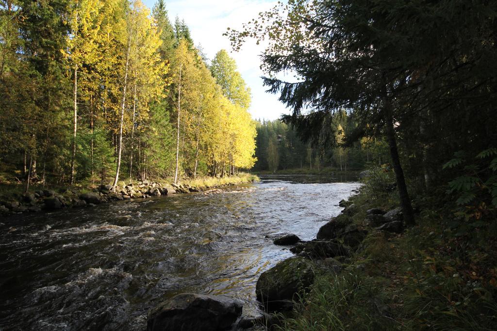Keskikosken Lomamoekit Venajanjarvi Luaran gambar